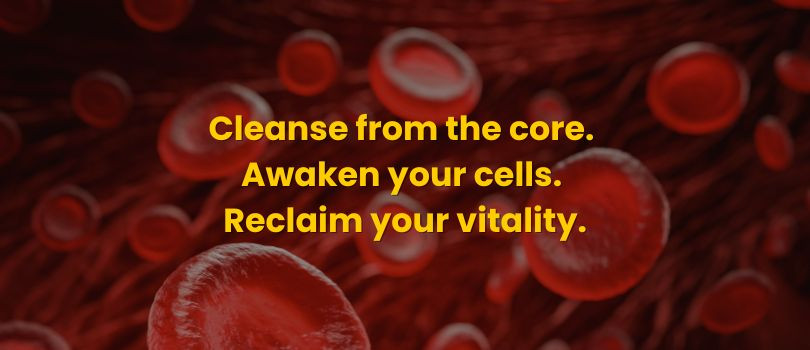 FUTURIZE eSHOP promo